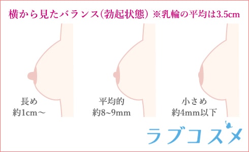 横から見た際の乳首（勃起時）の大きさのイメージを示した図