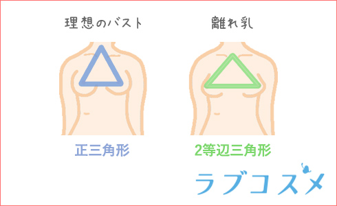 理想のバスト、正三角形。
離れ乳、二等辺三角形