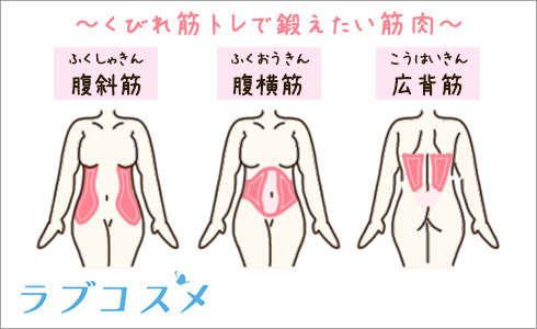 くびれ筋トレで鍛えたい筋肉の図