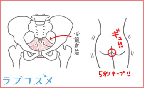 名器になるための膣トレ方法と骨盤底筋の位置
