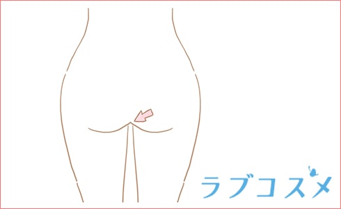 アナル（肛門・お尻の穴）の位置を示した図