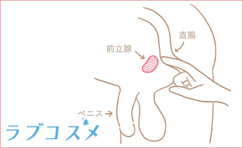 男性の性感帯の１つ「前立腺」の位置と触り方を示した図