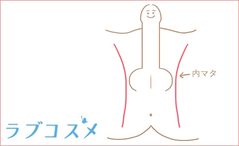 男性の性感帯の１つ「内股（うちまた）」の場所を示した図