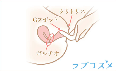 女性の膣周りの性感帯である「クリトリス・Gスポット・ポルチオ」の位置を示した図