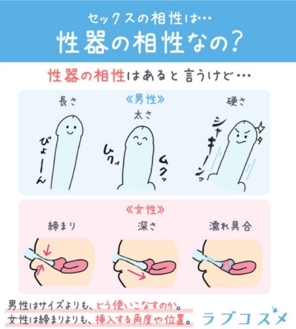 性器の相性はあるというけど・・
男性はサイズよりもどう使いこなせるか。女性は締まりよりも挿入する角度や位置。