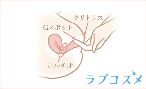 「外イキ」のポイントであるクリトリスと、「中イキ」のポイントとなるGスポット・ポルチオの場所を示した図