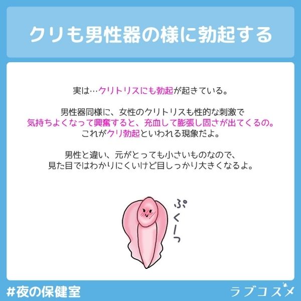 男性器同様に、女性のクリトリスも勃起する仕組み。性的な刺激で気持ちよくなって興奮すると、充血して膨張し硬さが出てくる。クリ勃起と呼ばれる現象。